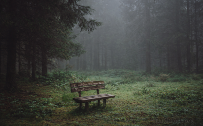 When God Feels Distant