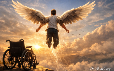 From Wheelchair to Wings – The Power That Changed Everything
